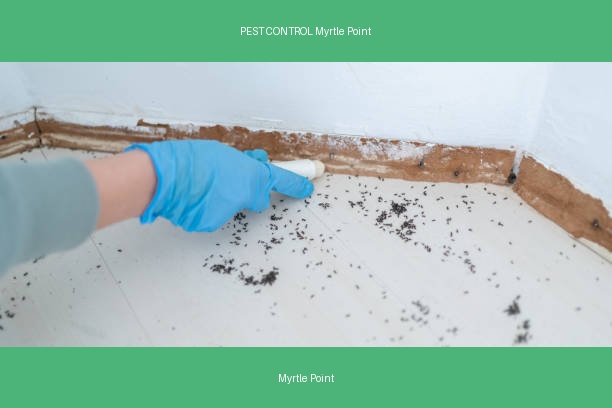 PEST CONTROL Myrtle Point
